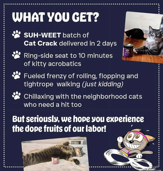 Catnip, Zoomie-Inducing Cat Nip for Cats, North American Made & 100% Natural, Safe & Non-Addictive Catnip Treats for Supplement Catnip Toys, Cat Supplies, & Catnip Spray (1 Cup)