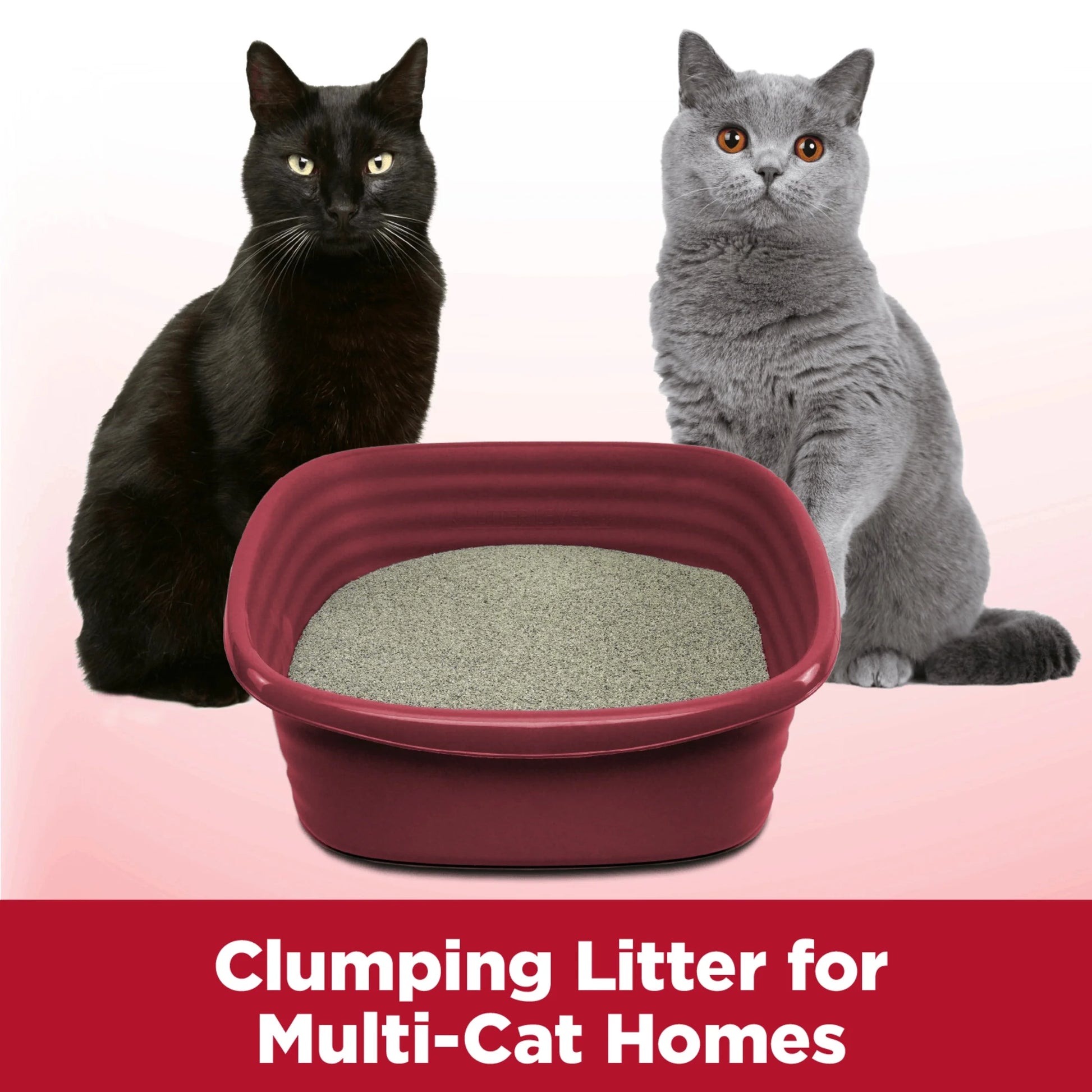 Clump & Seal Multi-Cat Complete Odor Sealing Clumping Cat Litter, 14 Lb