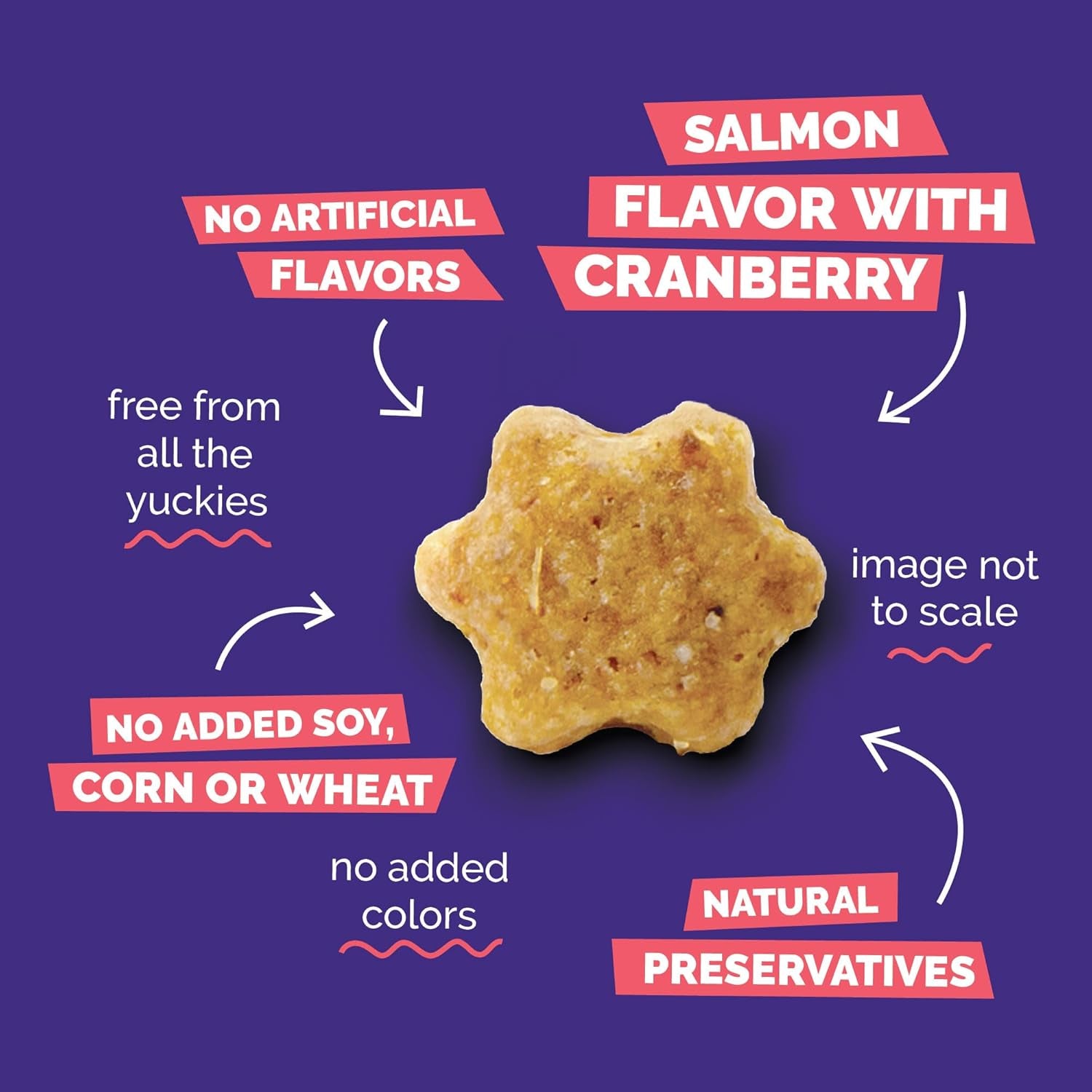 Cat Treats Crunchy Cat Treats, Healthy Low Calorie Kitten Snacks, Made without Wheat, Corn and Soy, Kitten Essentials, Made with Real Salmon and Cranberry, 30 Ounces