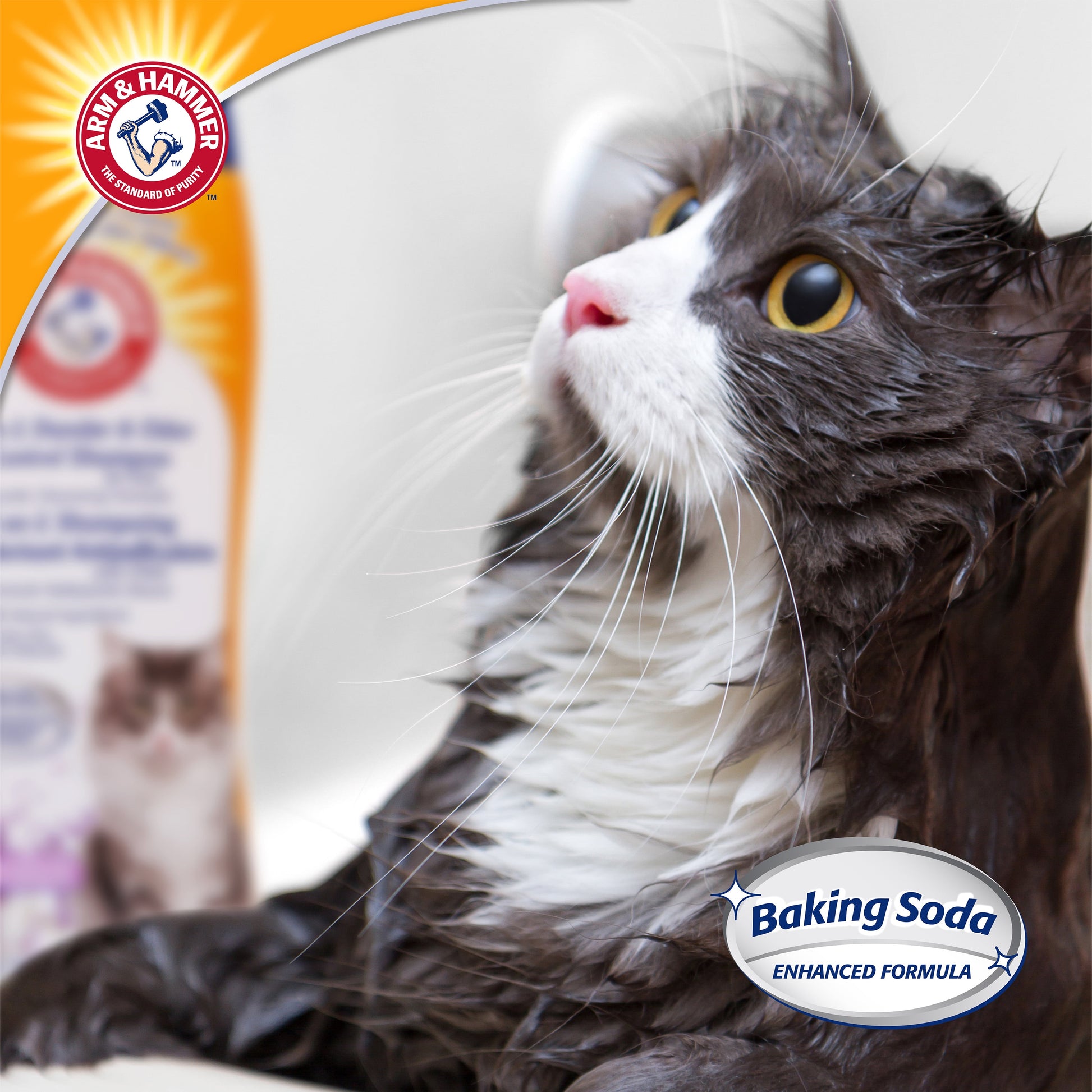 Deodorizing & Dander Reducing Cat Shampoo, Lavender Chamomile Scent, 20 Oz