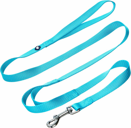 Essentials Double Handle Dog Leash for Traffic Control | 5Ft. X 3/4" Medium Dog Leash | Classic Dog Leash with Two Handles for Dogs That Pull | Nylon 2 Handle Dog Leash in Turquoise