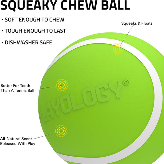 Dog Toys | Squeaky Chew Ball - Bouncy Durable Floating Fetch Ball for Dogs | Medium Sweet Potato Scented Toy - Easy to Clean and Made from Non Toxic Materials