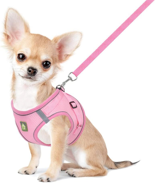 Dog Harness and Leash Set, No Pull Breathable Soft Mesh Puppy Vest Harness Reflective Adjustable Pet Harnesses for Small Medium Dogs and Cats - Outdoor Easy Control for Walking
