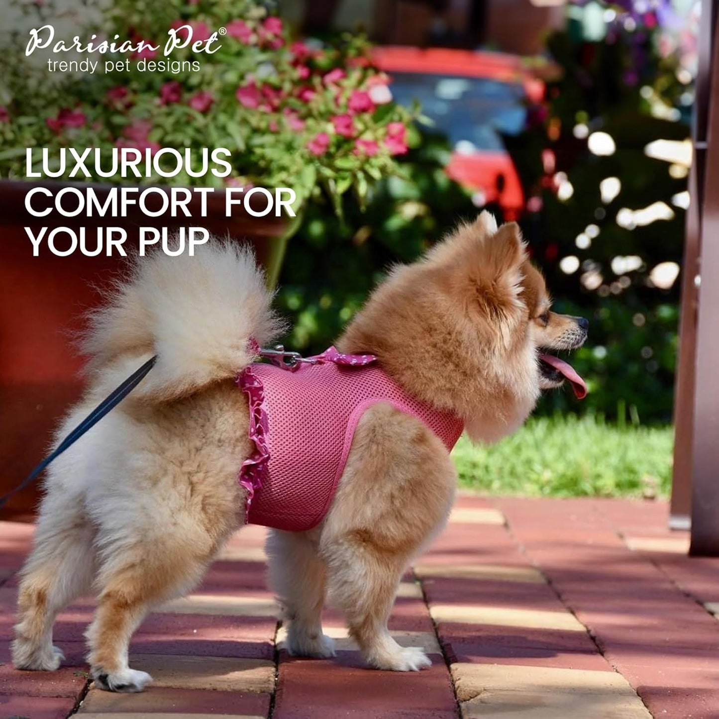 Step in Dog Harness - 100% Mesh Fabric Pink Girl Dog Harnesses - Soft Fully Padded, No Pull Dog Vest Harness Dress - Puppy Harness - Dog Harness Medium Sized Dog - M