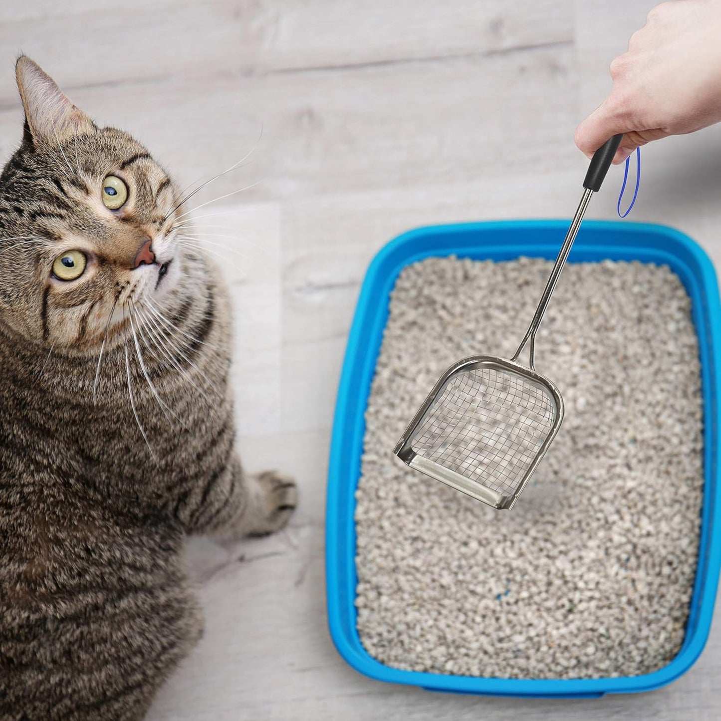 Metal Cat Litter Scoop – Long Handle Cat Poop Scooper for Litter Box (15”), Heavy-Duty Stainless Steel Kitty Litter Scoop (Scoop)