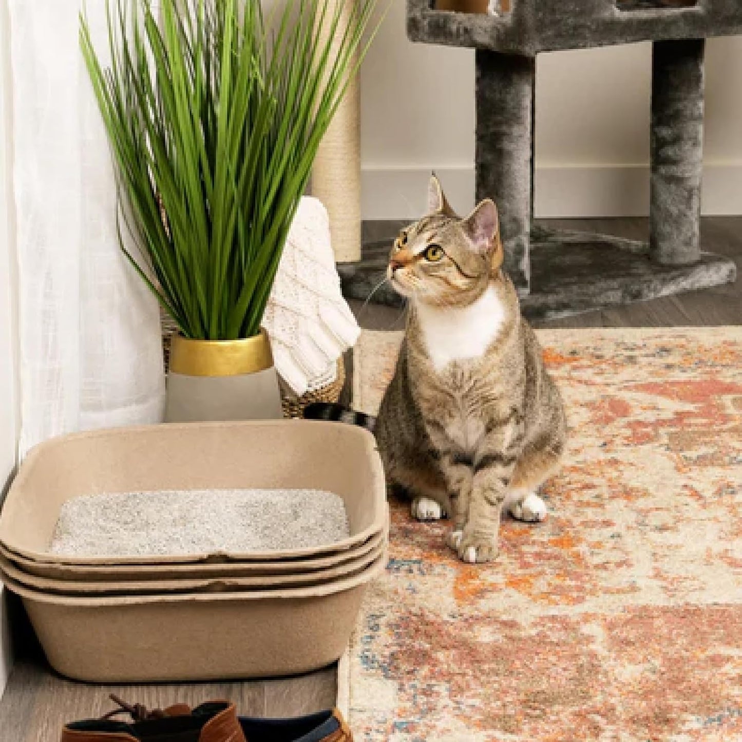(Set of 1 Litter Box & 5 Sifting Liners) Disposable Sifting Cat Litter Box Large, 6 Count, Durable Portable for Travel and Home Odor Control
