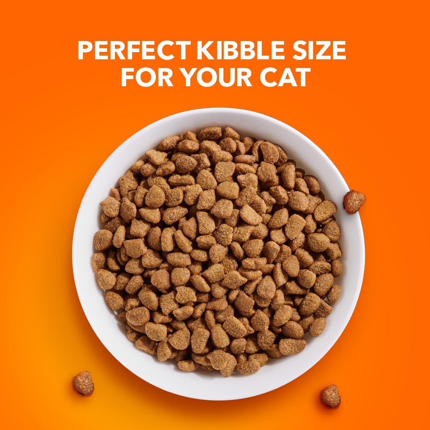 Proactive Health Adult Healthy Dry Cat Food with Chicken, 7 Lb. Bag