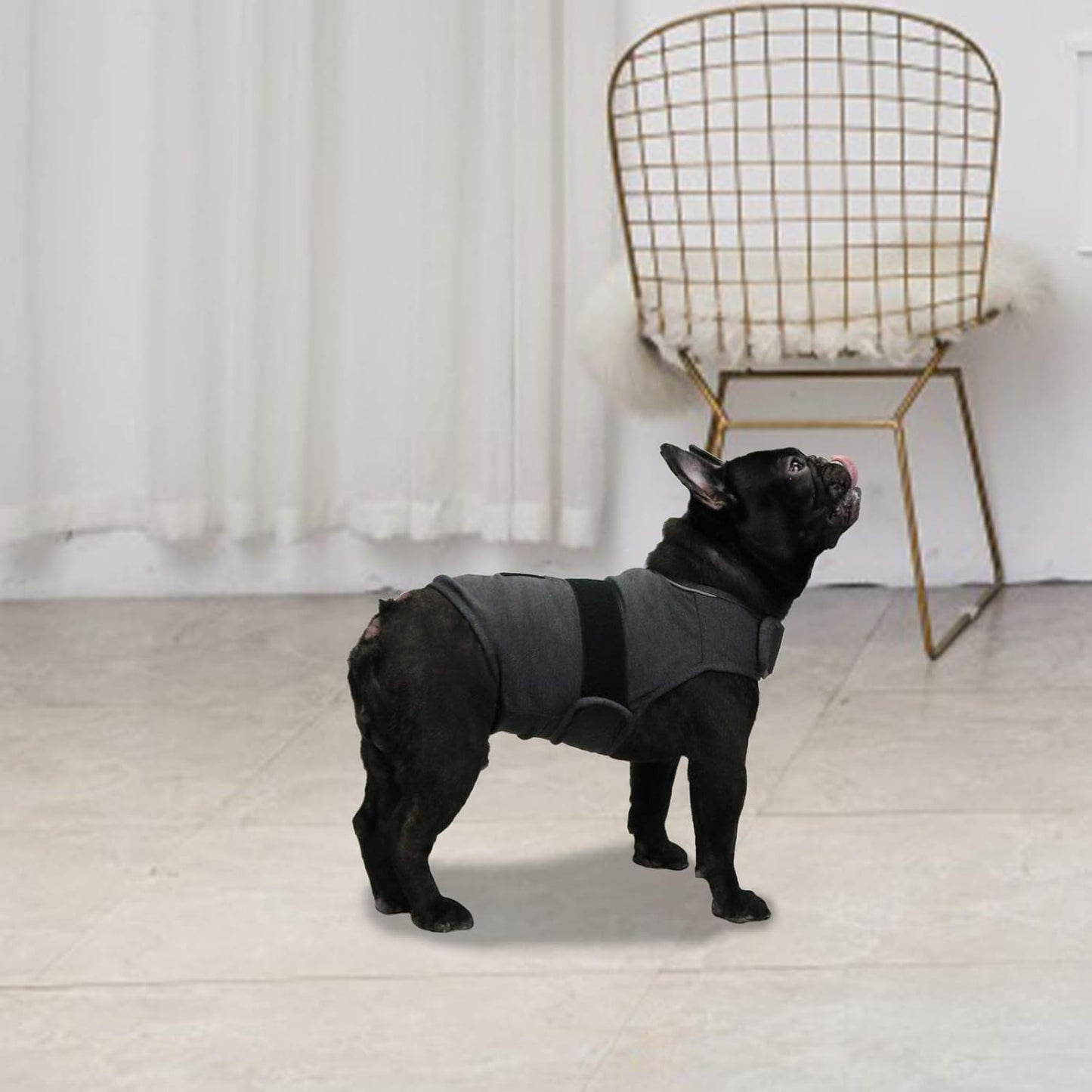 Comfort Dog Anxiety Relief Coat, Dog Anxiety Calming Vest Wrap for Thunderstorm,Travel,4Th of July Fireworks,Vet Visits,Separation Anxiety Relief for Dogs (M,Grey)